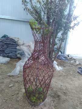 酒瓶樹藝術(shù)樹園藝裝飾花卉園藝裝