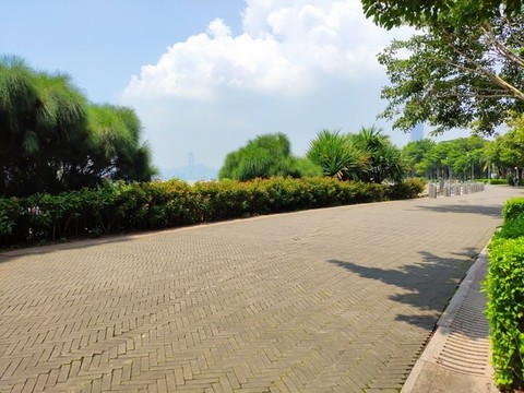 海邊觀景道
