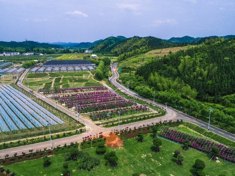 三合村新農(nóng)村旅游