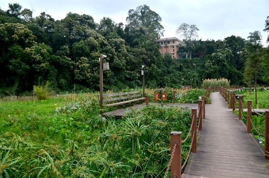 小路