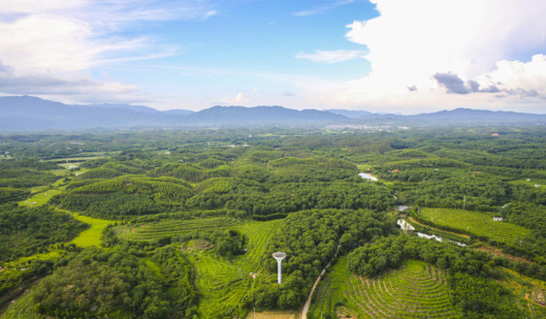 田野高清大圖