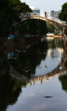 拱橋