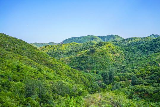 綠樹(shù)青山高清大圖