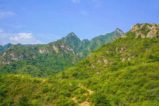綠樹青山高清大圖