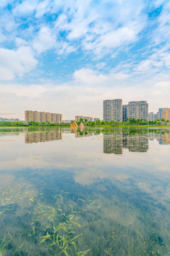 成都市錦城湖公園的風(fēng)光