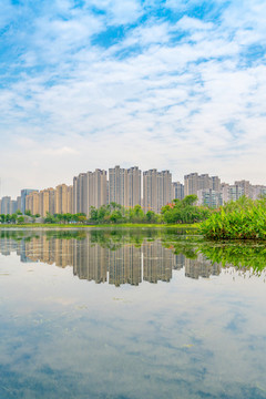 成都市錦城湖公園的風光