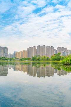 成都市錦城湖公園的風(fēng)光