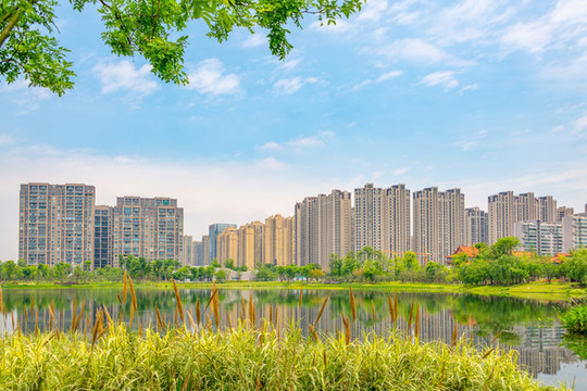 成都市錦城湖公園的風(fēng)光
