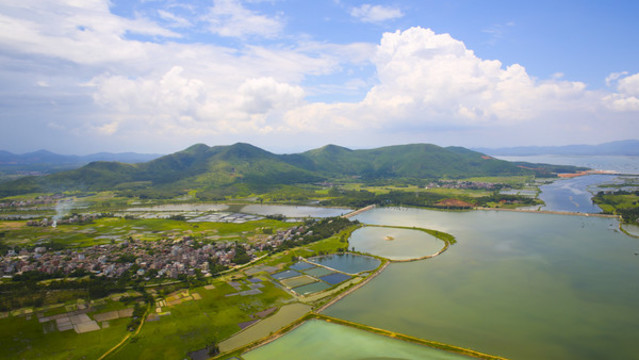 海島