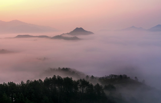 迷霧森林