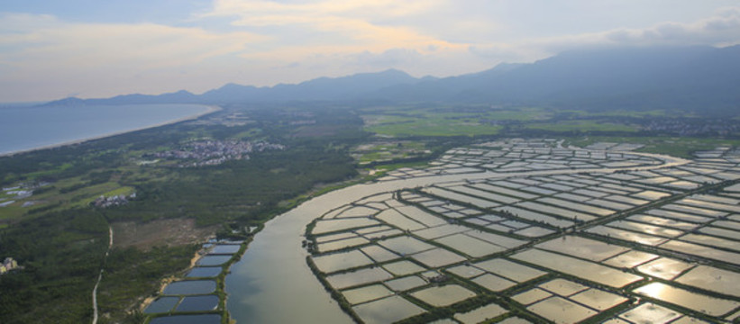 灘涂養(yǎng)殖