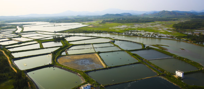 養(yǎng)殖場