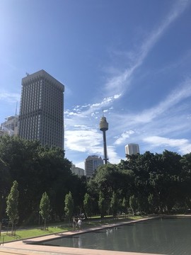 澳州