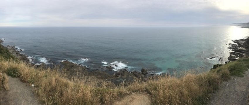 澳州