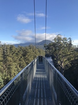 澳州