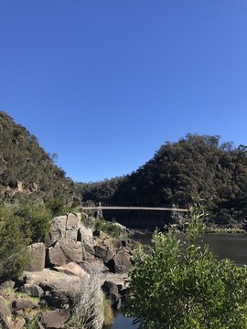 澳州