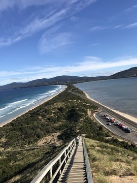 澳州