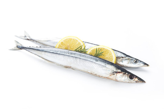 新鮮秋刀魚(yú)