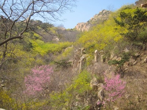 萊州郭家店馬山風(fēng)光