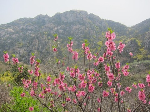 萊州郭家店馬山風(fēng)光