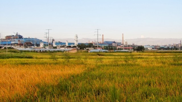 豐收的田野