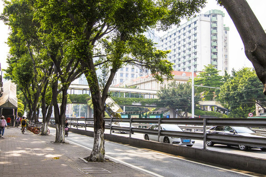廣州街道