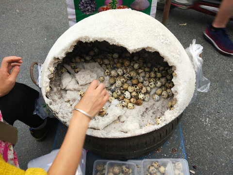 賣鵪鶉蛋