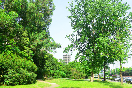 城市綠地健身步行道