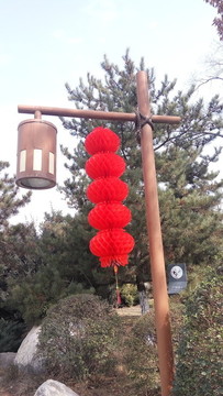 大紅燈籠高高掛