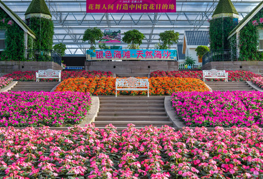 花園里五顏六色的花