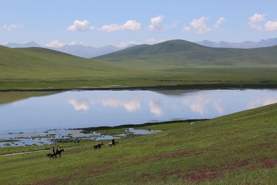 草原風(fēng)光