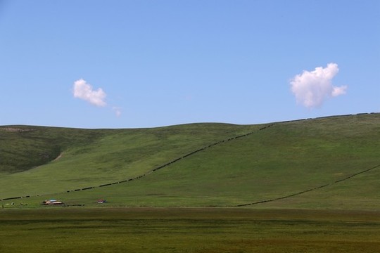 草原風(fēng)光