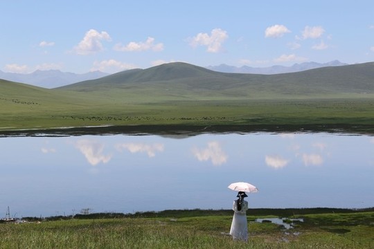 草原風(fēng)光