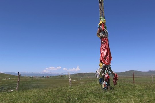 草原風(fēng)光