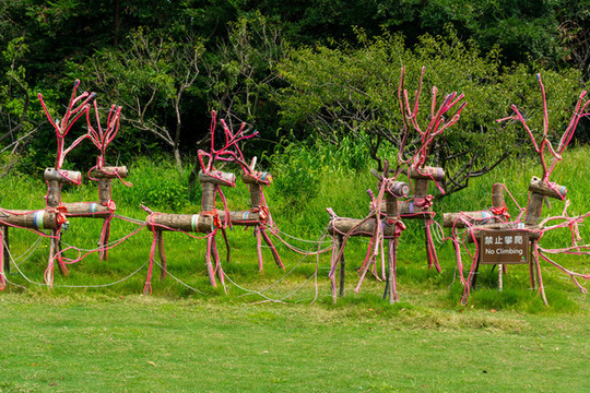 上海海灣國(guó)家森林公園