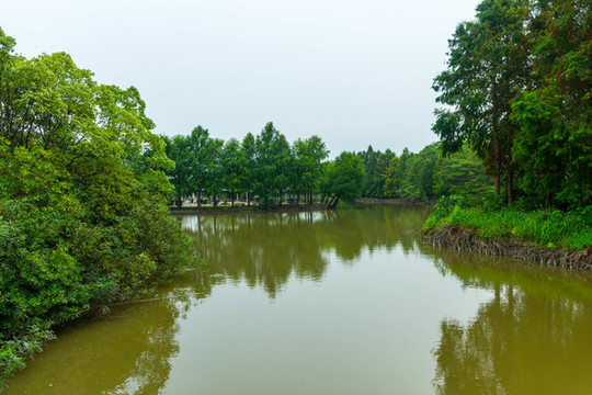 河水