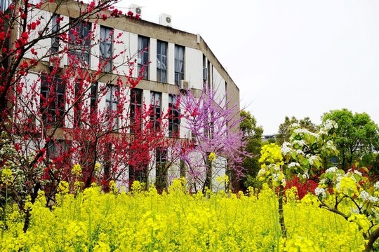 四川美術學院