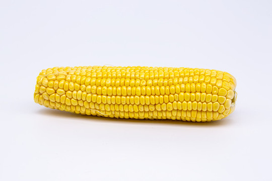 生玉米