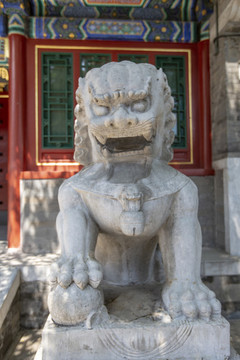 循郡王府門(mén)前石獅