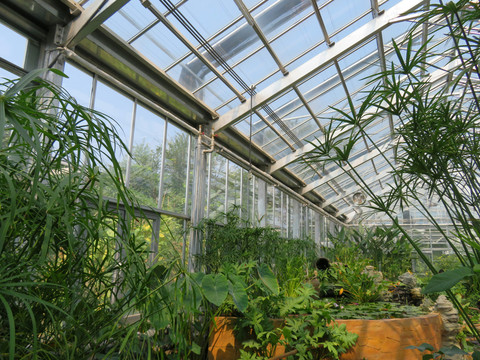 北京植物園溫室