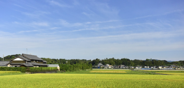 日本大阪的田野風(fēng)光