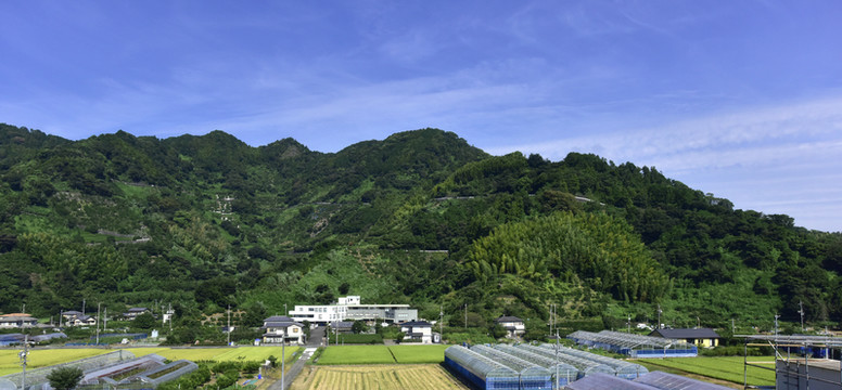 日本大阪的田野風(fēng)光