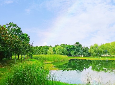 池塘綠樹風(fēng)光