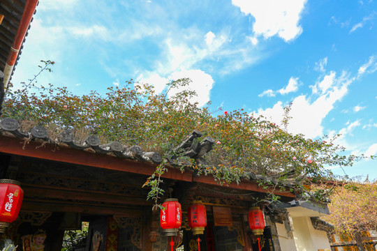 麗江古鎮(zhèn)小巷