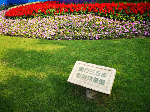 城市公園草地