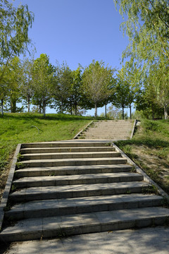 公園