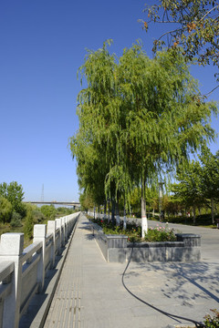 公園