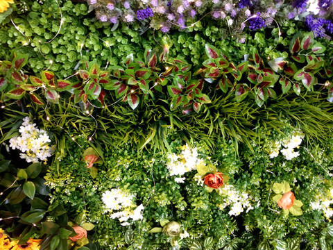 植物花墻
