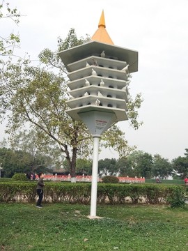 公園風景