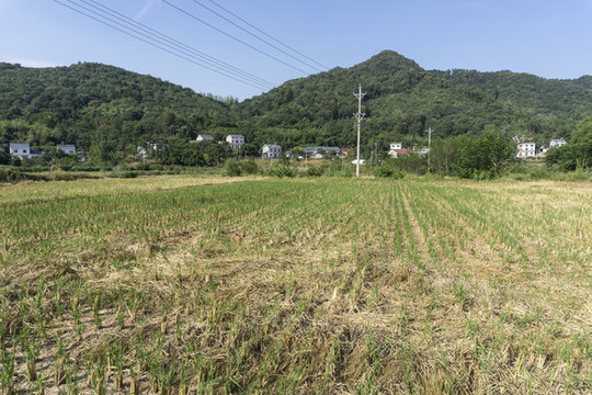 秋天田野